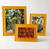 Primeo (Clear) Tangerine Pirsma Photo Desk Frames